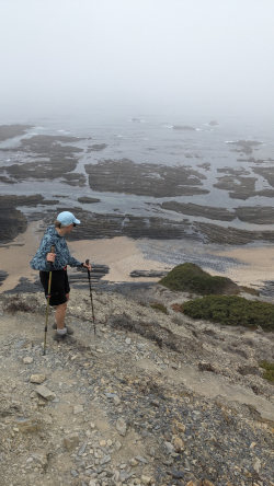 fog by the ocean