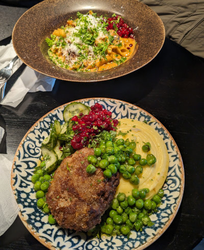 Reindeer Meal in Kiruna