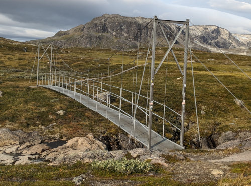 Swedish Suspension Bridge