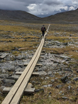 Boardwalk on Kungsleden path