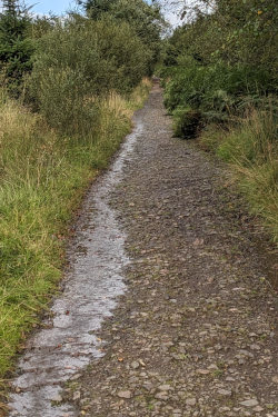 West Highland Way nice trail