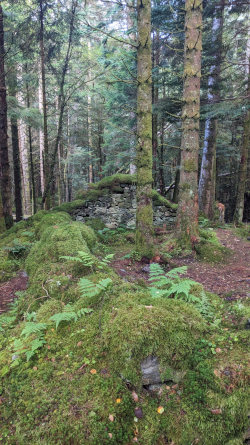 Old Ruins near Loch Lomond