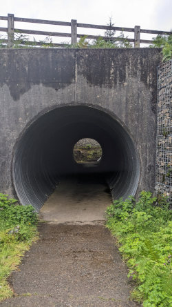 Trail under Road