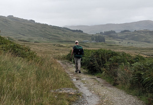 Walking through sheep pasture