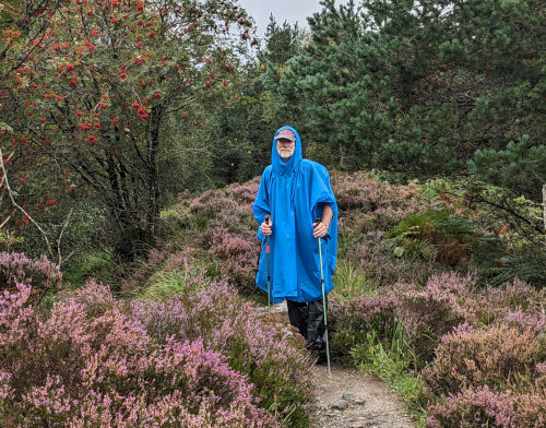 Heather Forest