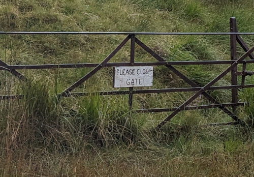 Gate with no Fence