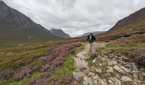 Heather and Mountains