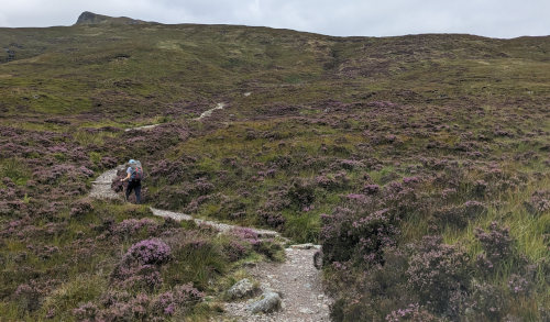 Devil's Staircase pathway through heather