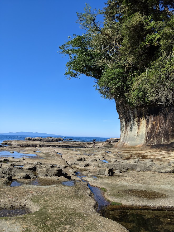 Bedrock along Pacific Ocean